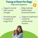 pet-wellbeing-young-at-heart-kidney-supp-6.jpg