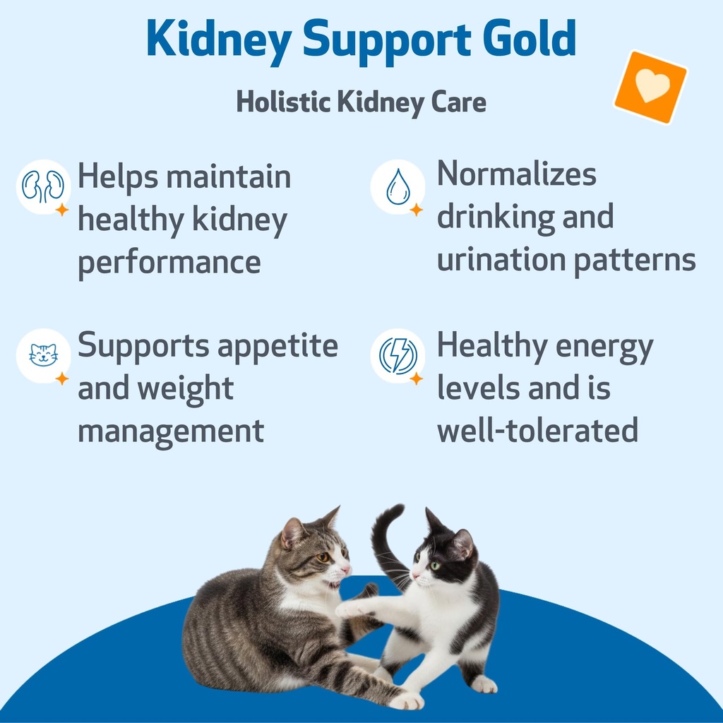 pet-wellbeing-kidney-support-gold-core-k-6.jpg