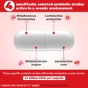 kidney-health-supplement-for-dogs-cats-p-4.jpg