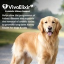 kidney-health-supplement-for-dogs-cats-p-5.jpg