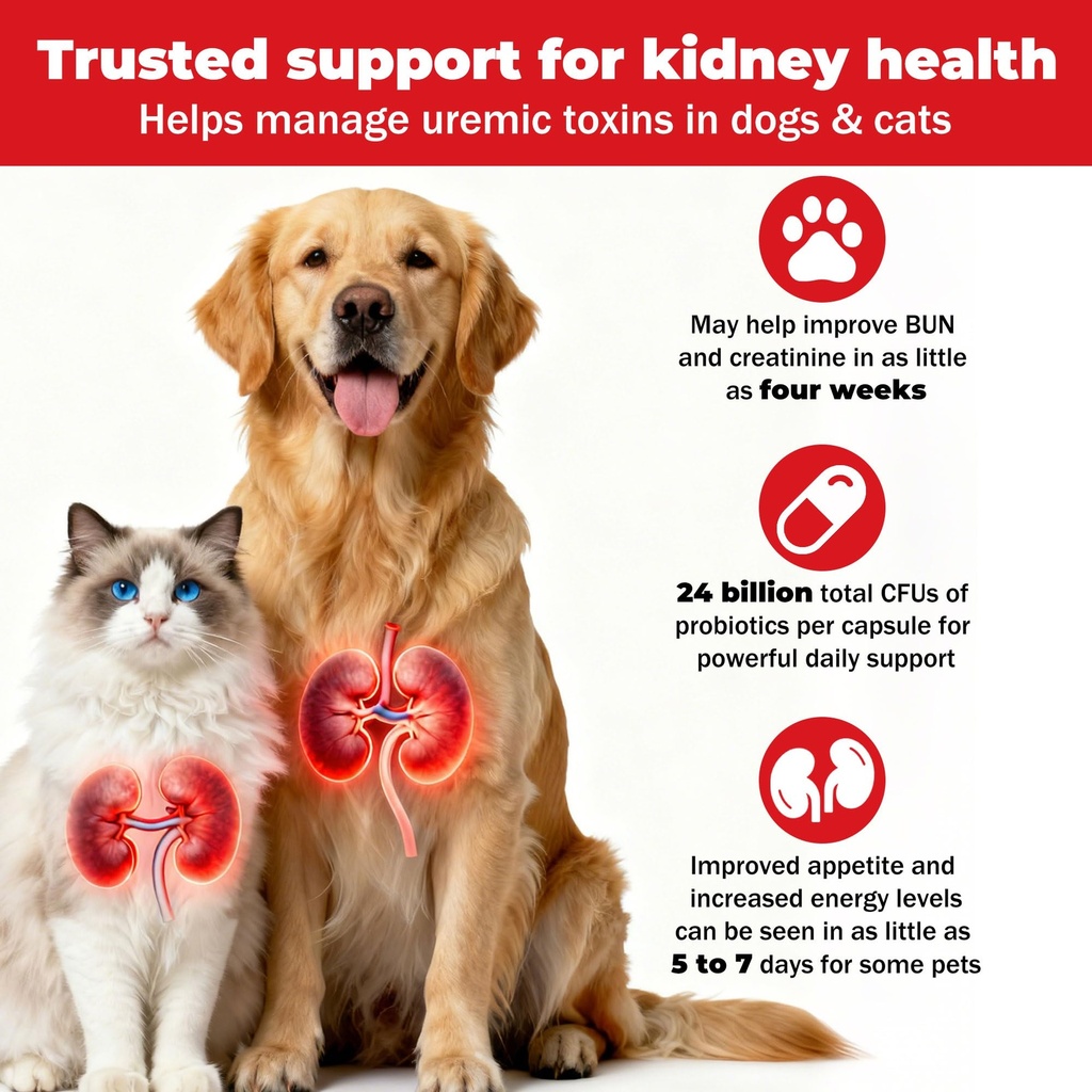 kidney-health-supplement-for-dogs-cats-p-2.jpg