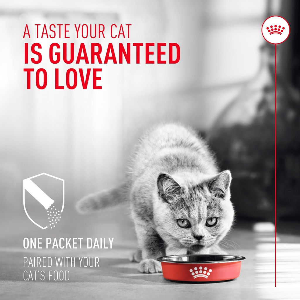 royal-canin-probiotics-for-cats-digestiv-4.jpg