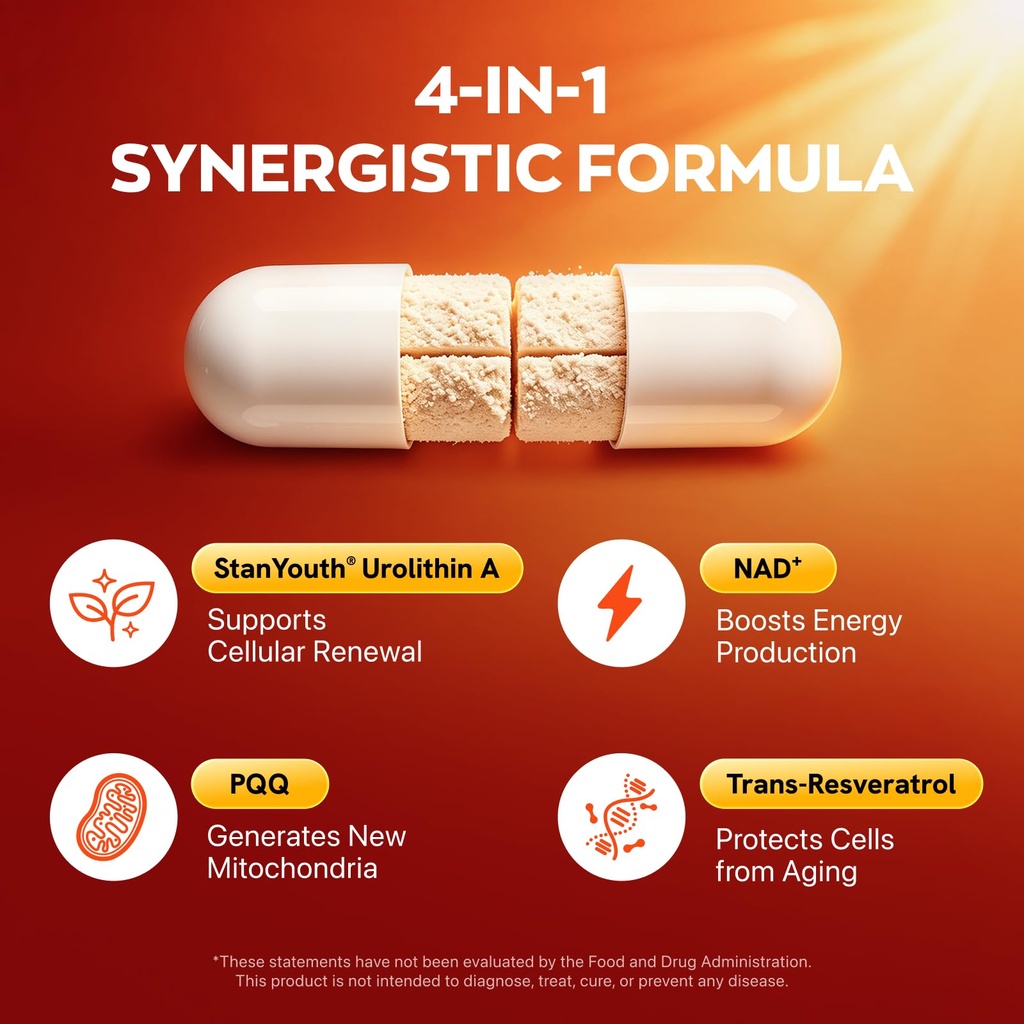 gynable-urolithin-a-supplement-with-nad--3.jpg