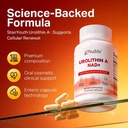 gynable-urolithin-a-supplement-with-nad--5.jpg