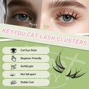 keyyou-lash-clusters-kit-anime-cat-lash--3.jpg