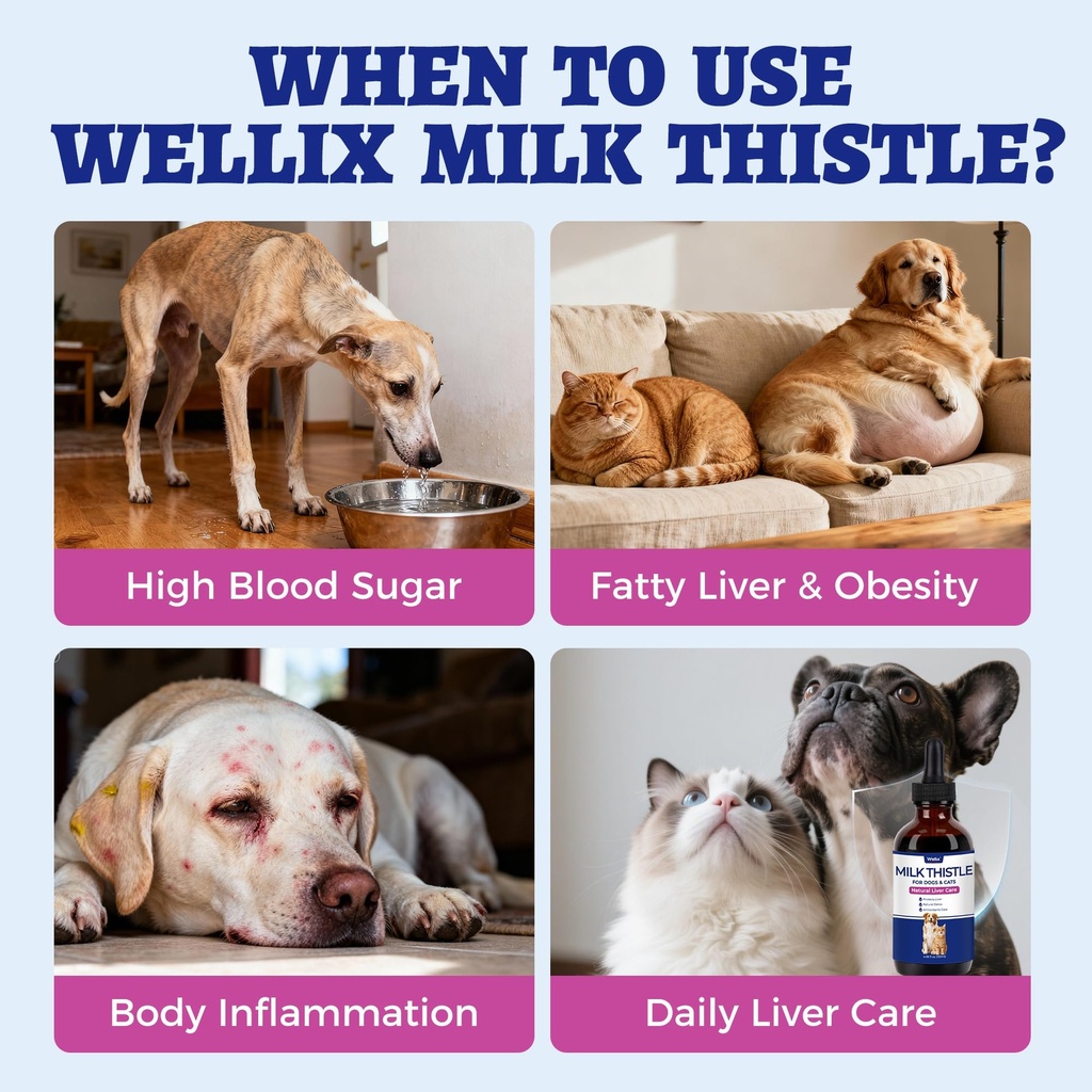 wellix-120ml-milk-thistle-for-cats-dogs--5.jpg