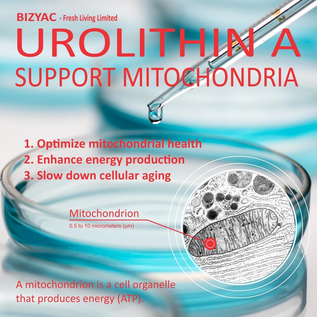 urolithin-a-supplement-1000mg-mitochondr-4.jpg