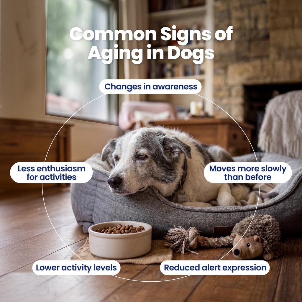 nad-precursor-senior-dog-supplement-90-s-4.jpg