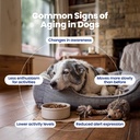 nad-precursor-senior-dog-supplement-90-s-4.jpg