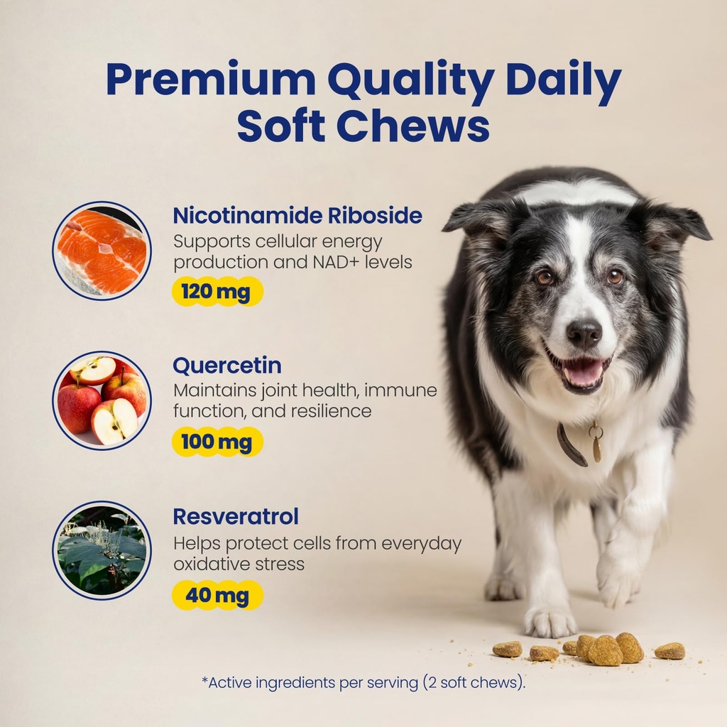 nad-precursor-senior-dog-supplement-90-s-5.jpg