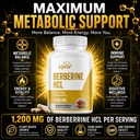 leaping-lynx-berberine-hcl-1200mg-60-cap-3.jpg