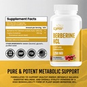 leaping-lynx-berberine-hcl-1200mg-60-cap-2.jpg