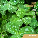 maxler-liquid-chlorophyll-natural-flavor-2.jpg