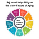 rejuvenal-supports-healthy-aging-longevi-2.jpg