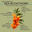seabuckwonders-organic-sea-buckthorn-oil-4.jpg