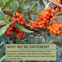 seabuckwonders-organic-sea-buckthorn-oil-6.jpg