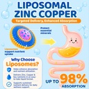 liposomal-zinc-copper-supplement-liquid--6.jpg