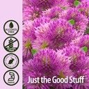 nature-s-answer-red-clover-extract-1-oun-4.jpg