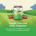 immune-booster-kids-probiotic-gummies-ba-2.jpg