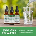 nutramedix-energy-set-3-piece-kit-includ-5.jpg