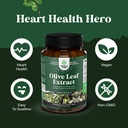 potent-olive-leaf-extract-capsules-high--4.jpg