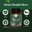 potent-olive-leaf-extract-capsules-high--4.jpg