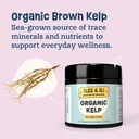 alice-eli-organic-kelp-powder-for-dogs-s-4.jpg