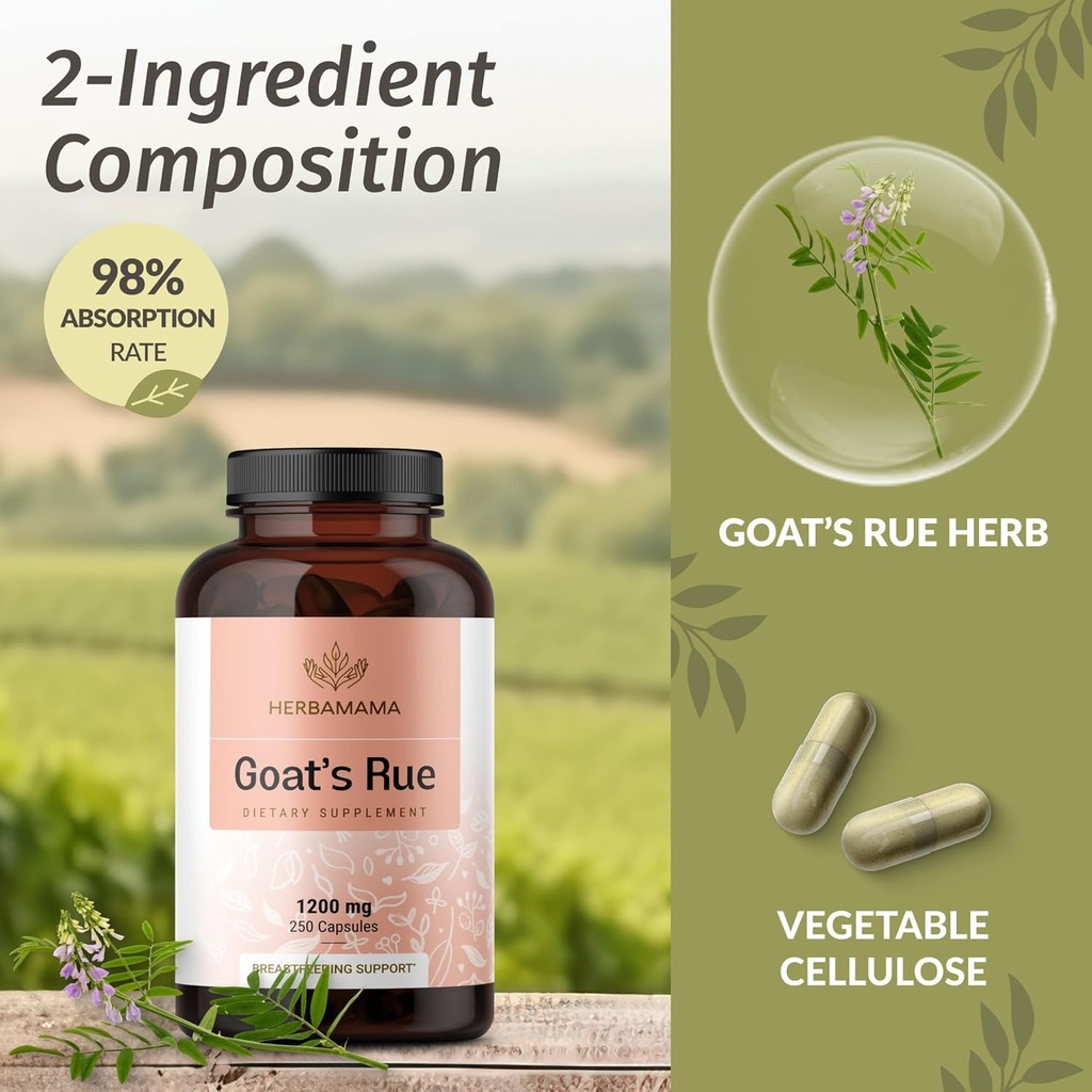 herbamama-goats-rue-capsules---1200mg-ga-4.jpg