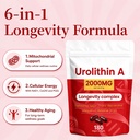 urolithin-a-supplement-1200mg-with-nad-1-2.jpg