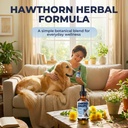 cardio-drops-for-dogs-herbal-heart-suppo-3.jpg