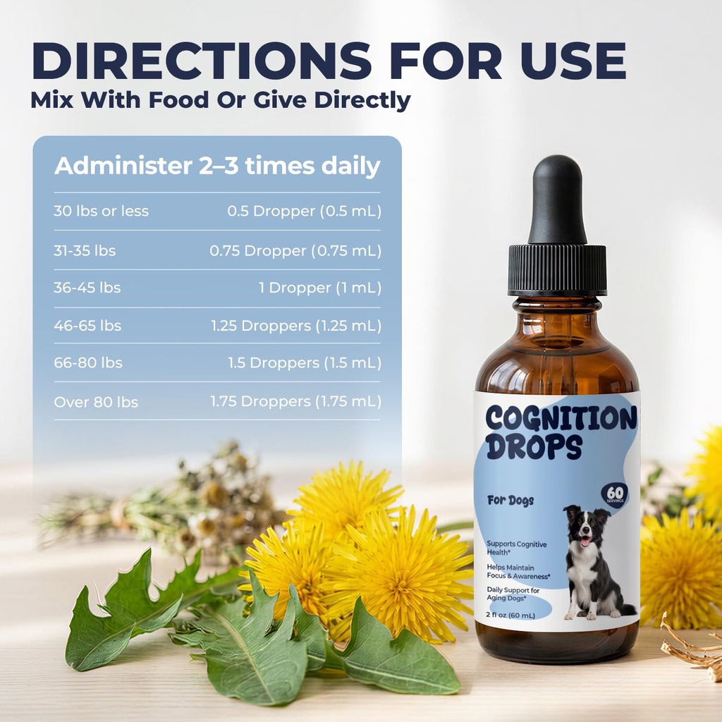 cognitive-support-for-dogs-dog-brain-hea-4.jpg