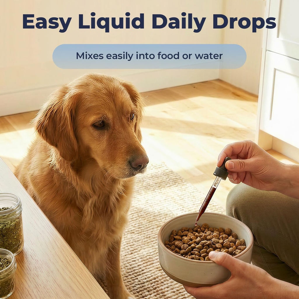 cognitive-support-for-dogs-dog-brain-hea-6.jpg
