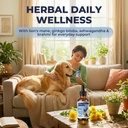 cognitive-support-for-dogs-dog-brain-hea-3.jpg