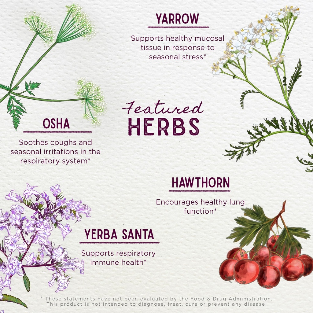 wishgarden-herbs-deep-lung-liquid-herbal-4.jpg