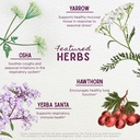 wishgarden-herbs-deep-lung-liquid-herbal-4.jpg