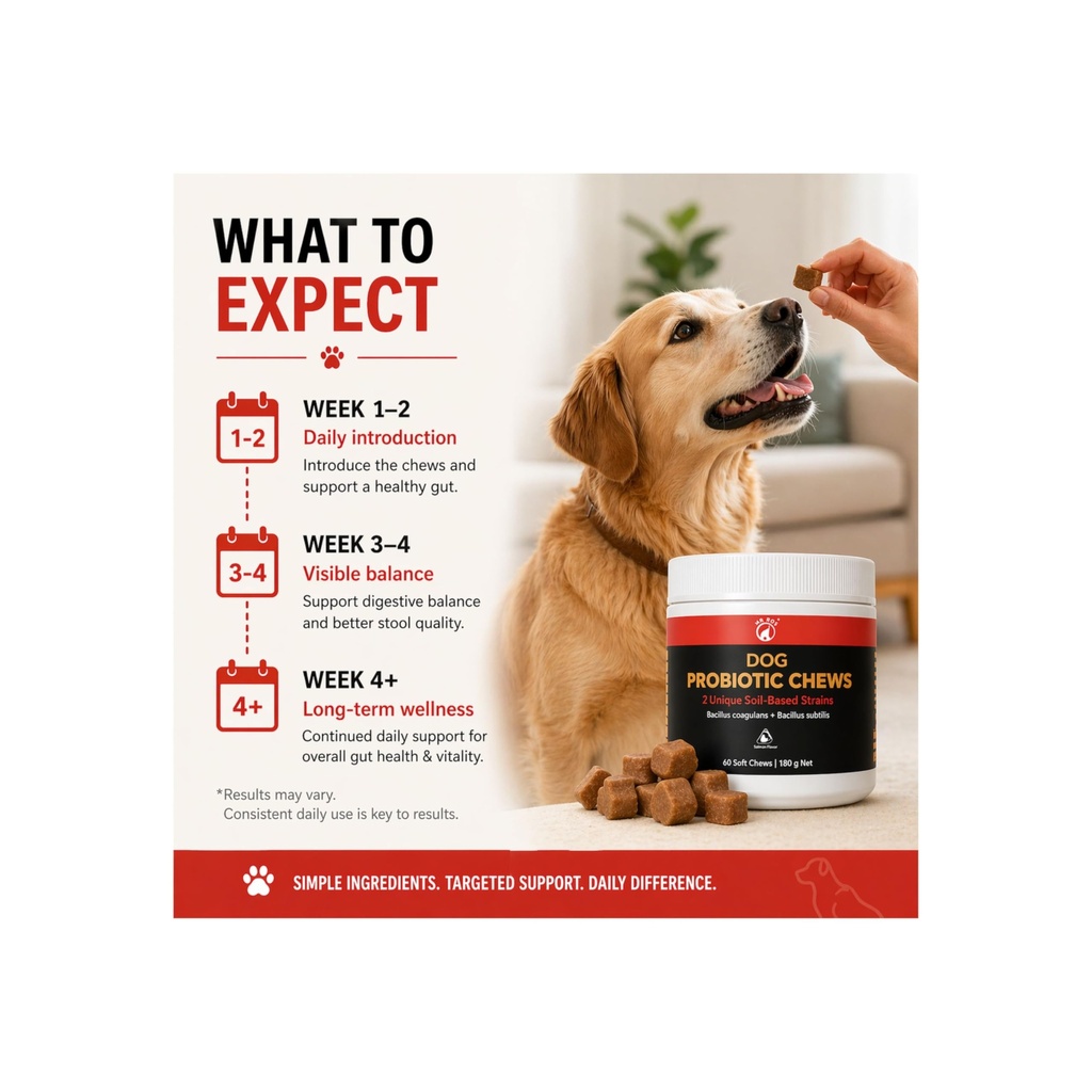 dog-probiotic-chews-gut-health-digestive-5.jpg
