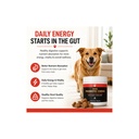 dog-probiotic-chews-gut-health-digestive-4.jpg