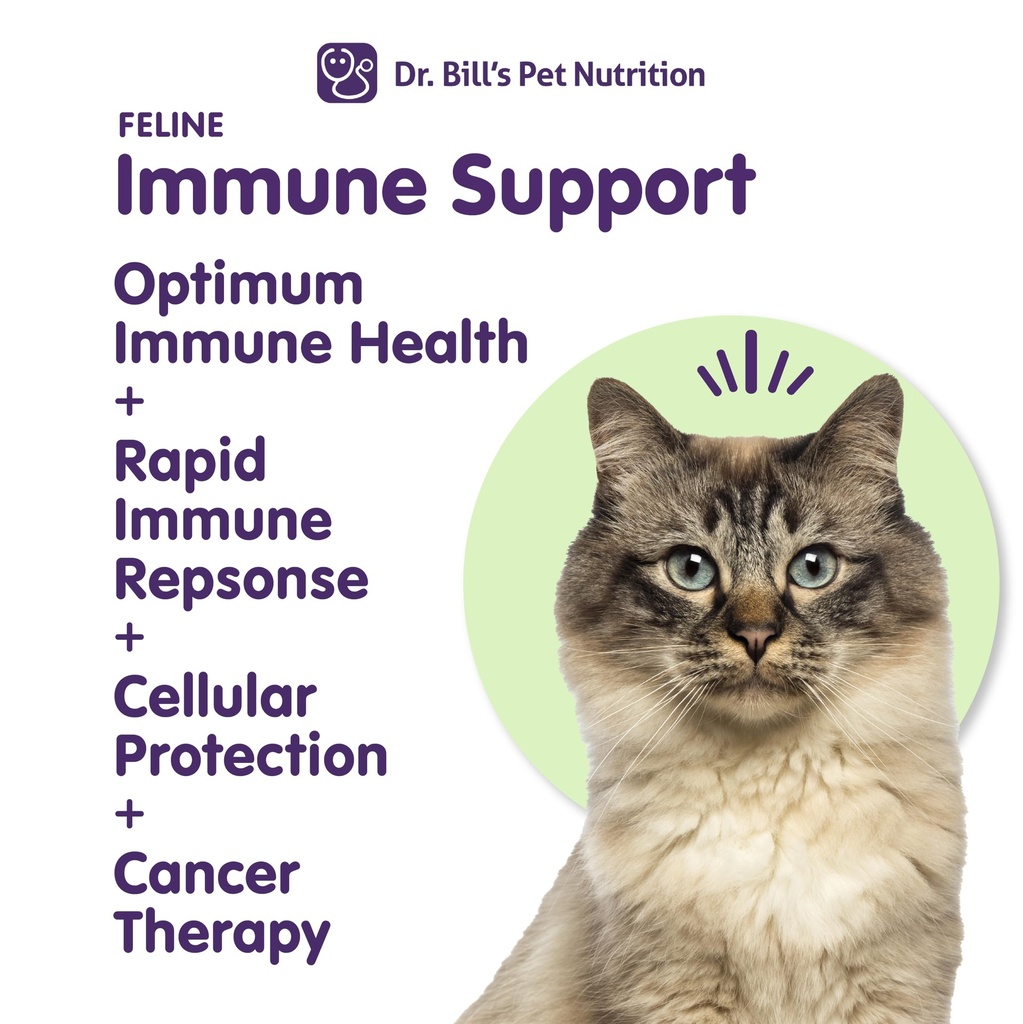 dr-bill-s-feline-immune-support-boosts-c-3.jpg