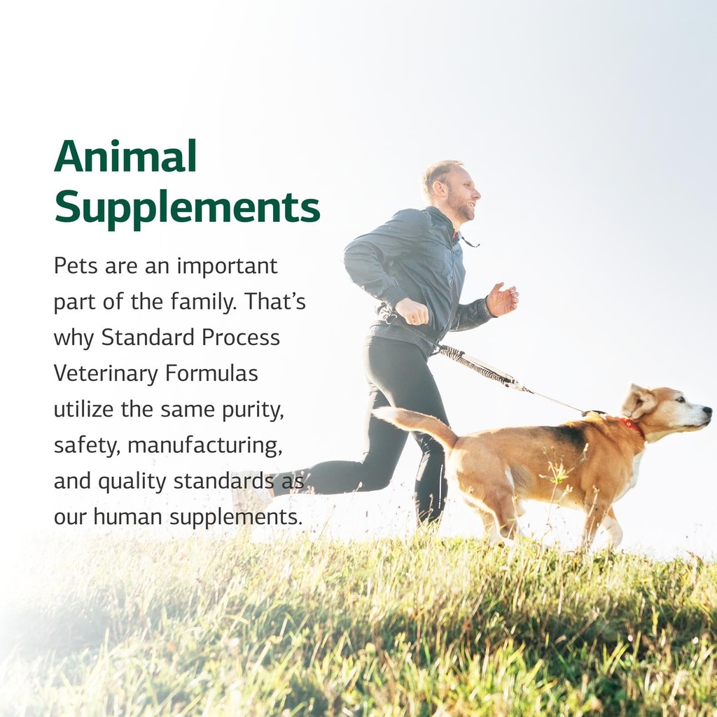 standard-process-inc-feline-immune-syste-6.jpg