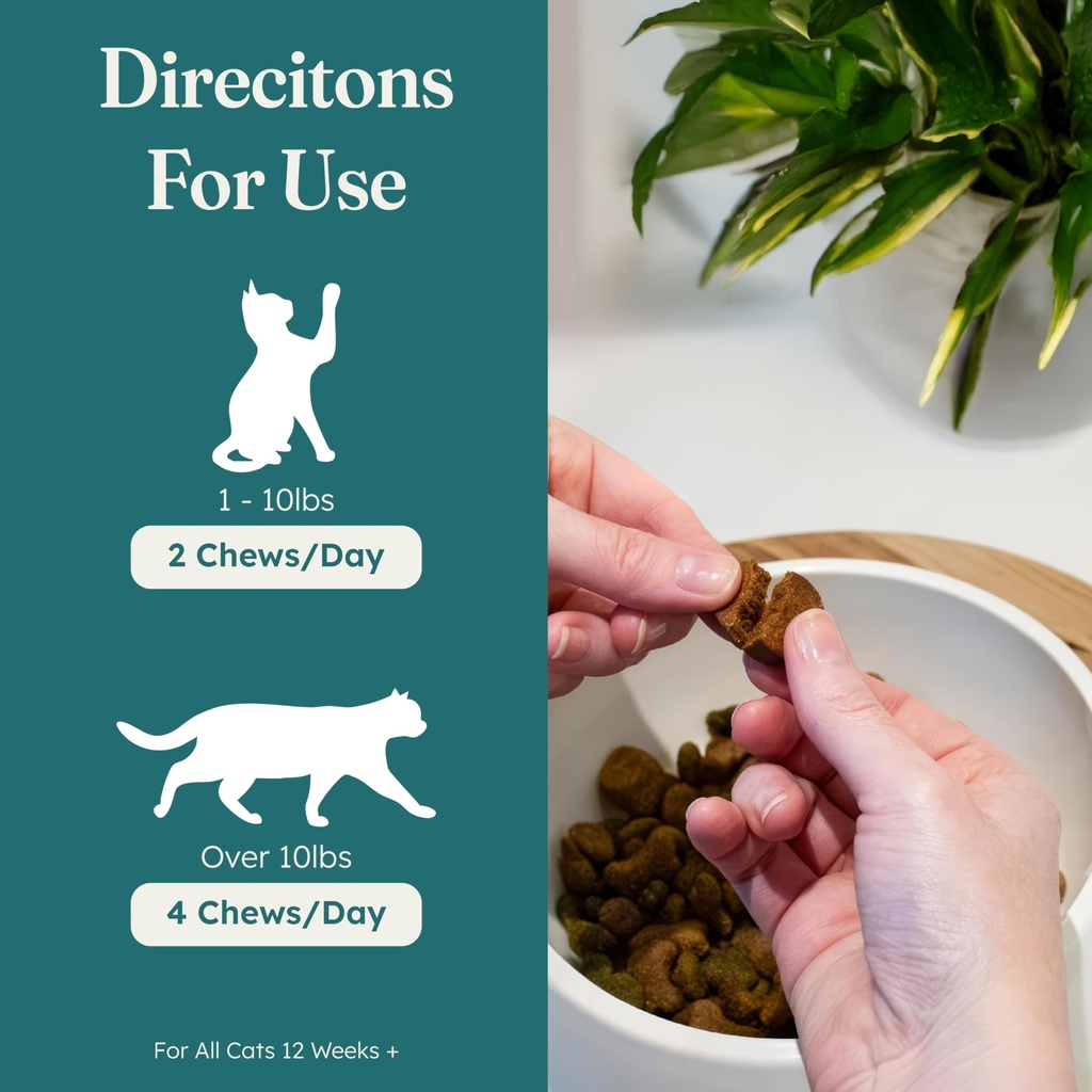 petheal-immune-plus-chews-for-cats-vet-r-4.jpg