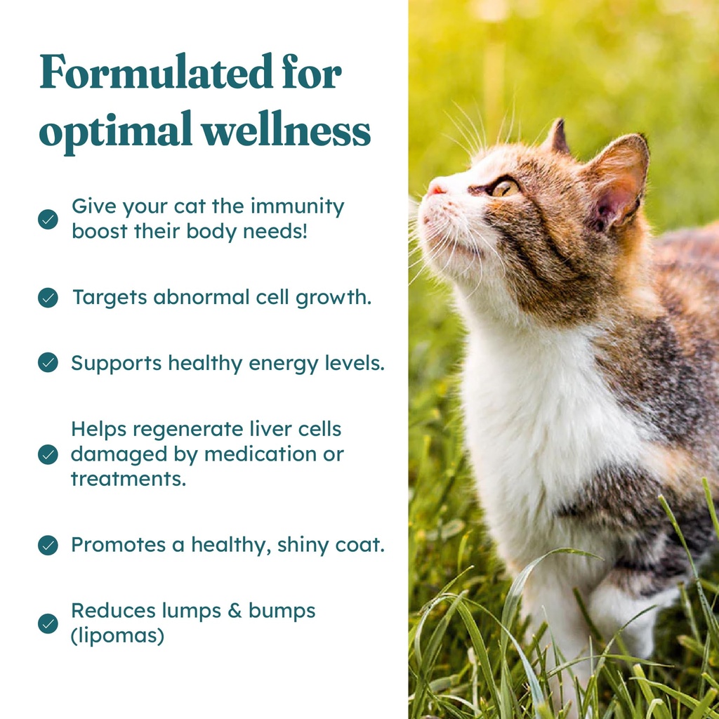 petheal-immune-plus-chews-for-cats-vet-r-3.jpg
