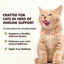 liquid-vet-immune-support-for-cats-daily-2.jpg