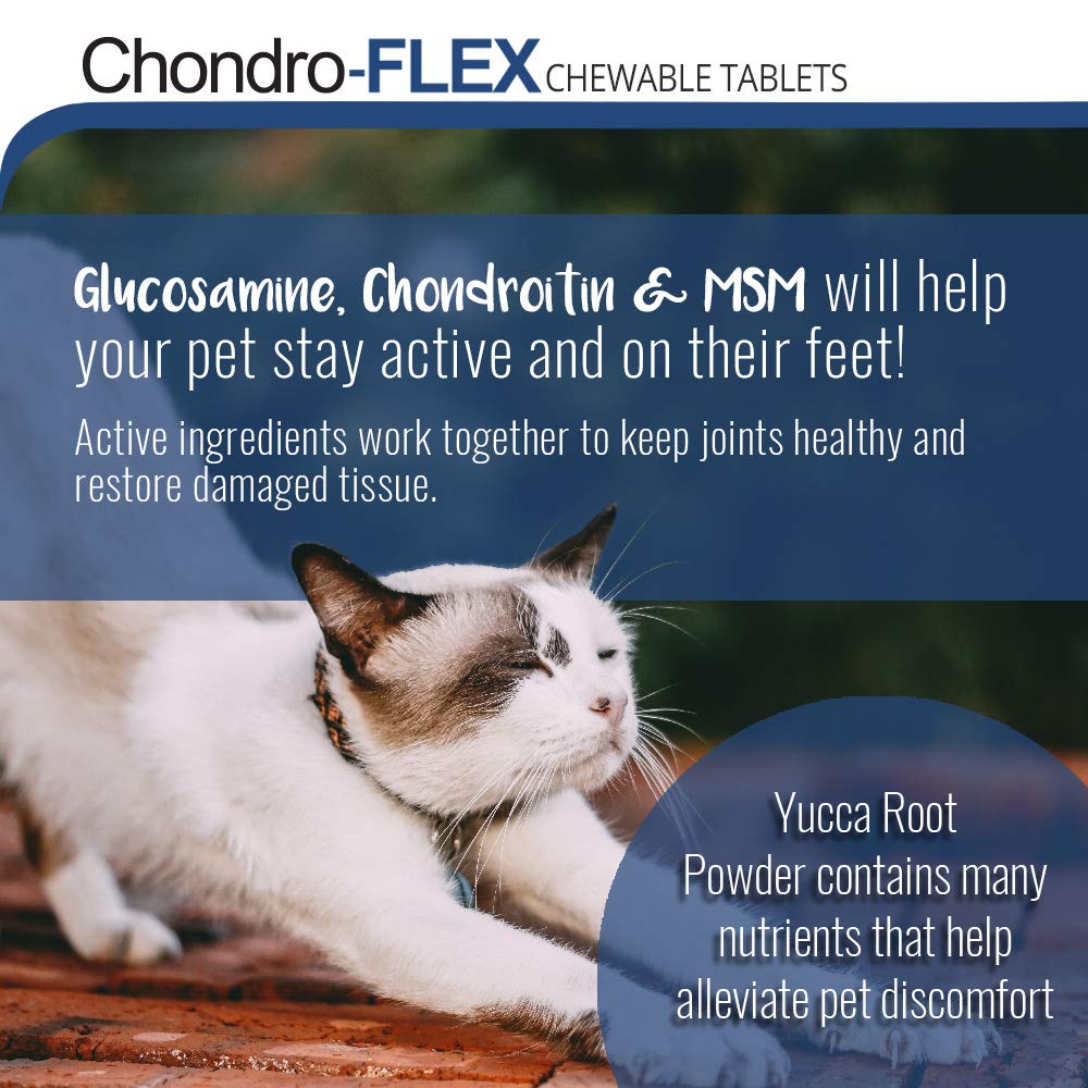 chondro-flex-joint-supplement-for-dogs-c-3.jpg