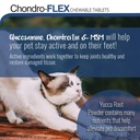 chondro-flex-joint-supplement-for-dogs-c-3.jpg