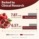 extra-strength-pomegranate-extract-20-1--6.jpg