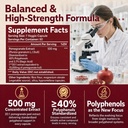extra-strength-pomegranate-extract-20-1--4.jpg