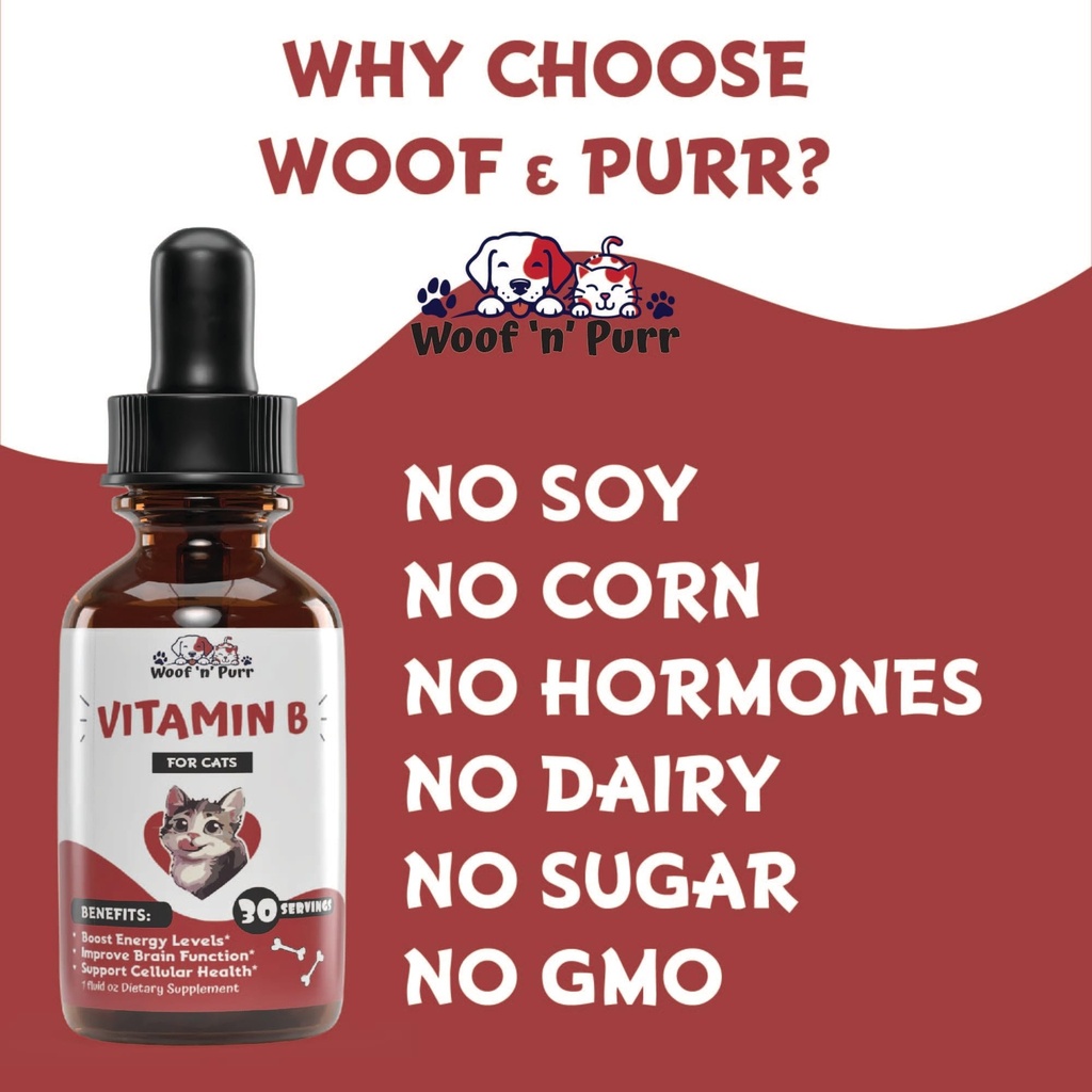vitamin-b-for-cats-b12-for-cats-vitamin--5.jpg