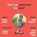 vitamin-b-for-cats-b12-for-cats-vitamin--3.jpg