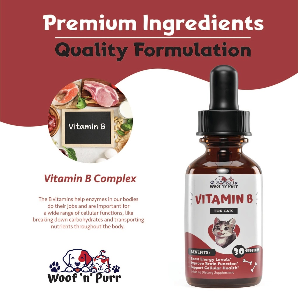 vitamin-b-for-cats-b12-for-cats-vitamin--4.jpg