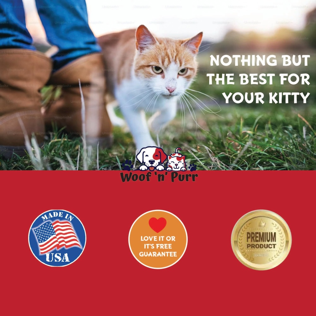 vitamin-b-for-cats-b12-for-cats-vitamin--6.jpg